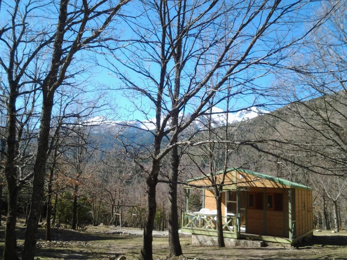 Chalet De Caralba Piscine Villa Ghisoni Exterior foto