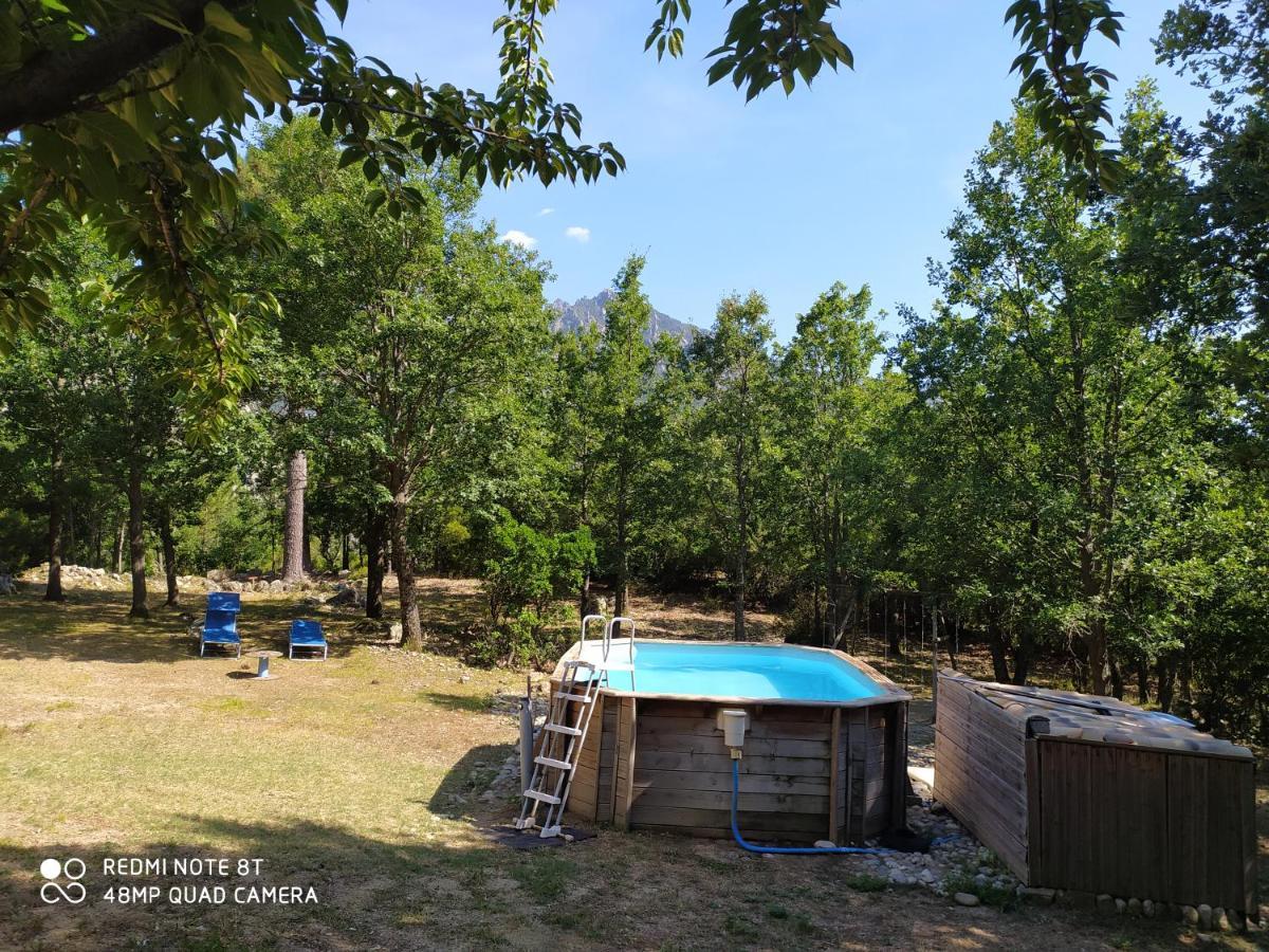 Chalet De Caralba Piscine Villa Ghisoni Exterior foto